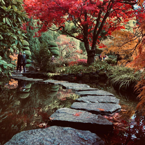 Japanese Zen Garden Fine Art Photography